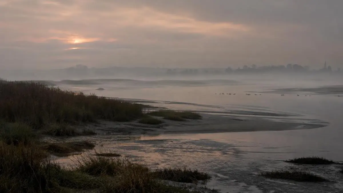Wildfowling in Britain: What You Need to Know