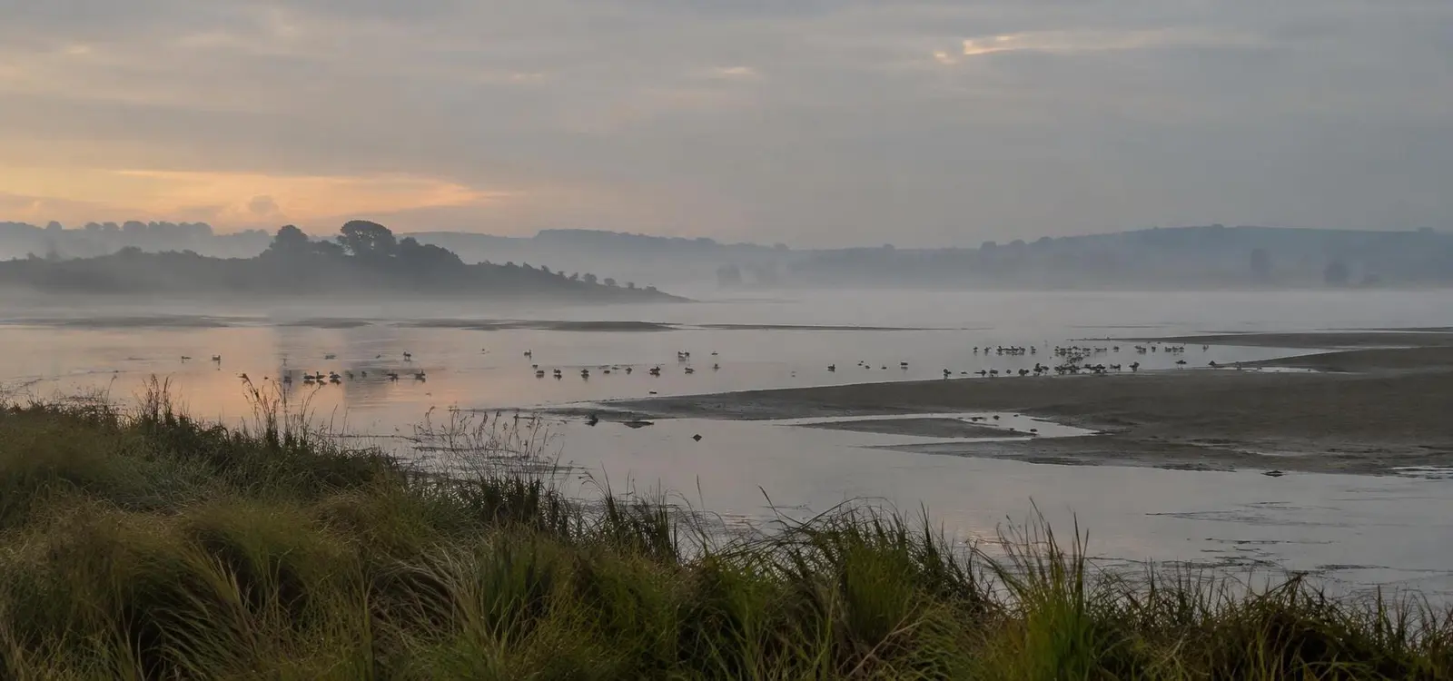 Wildfowling — Hunting UK Wildfowling