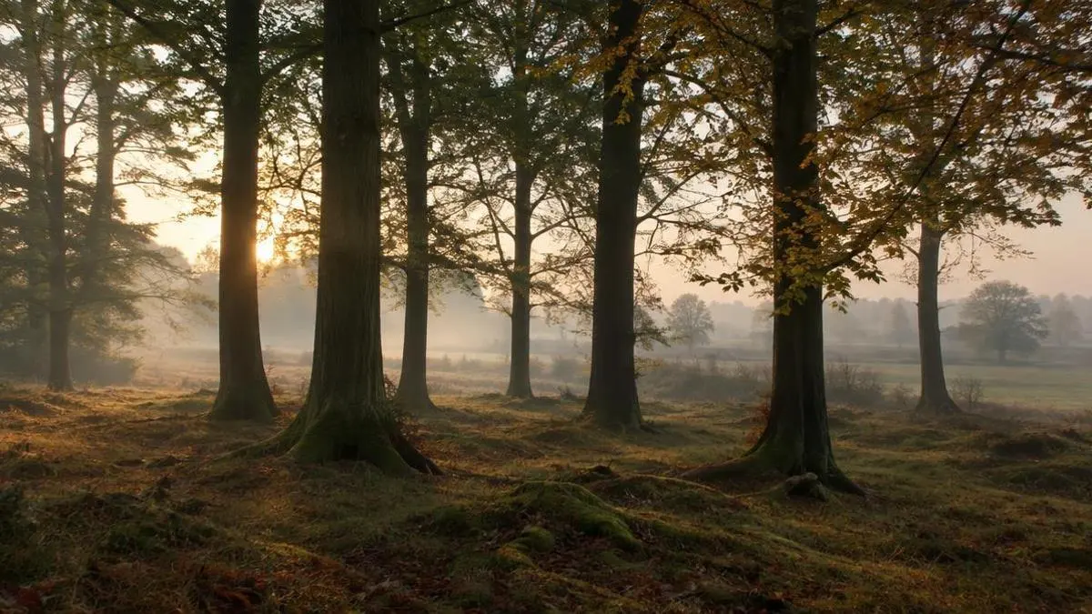 A Guide to Deer Stalking in the UK
