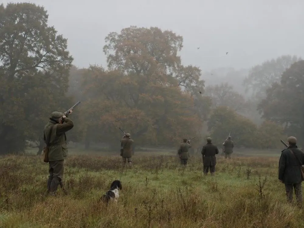 Driven Game — Traditional pheasant, partridge and woodcock shooting