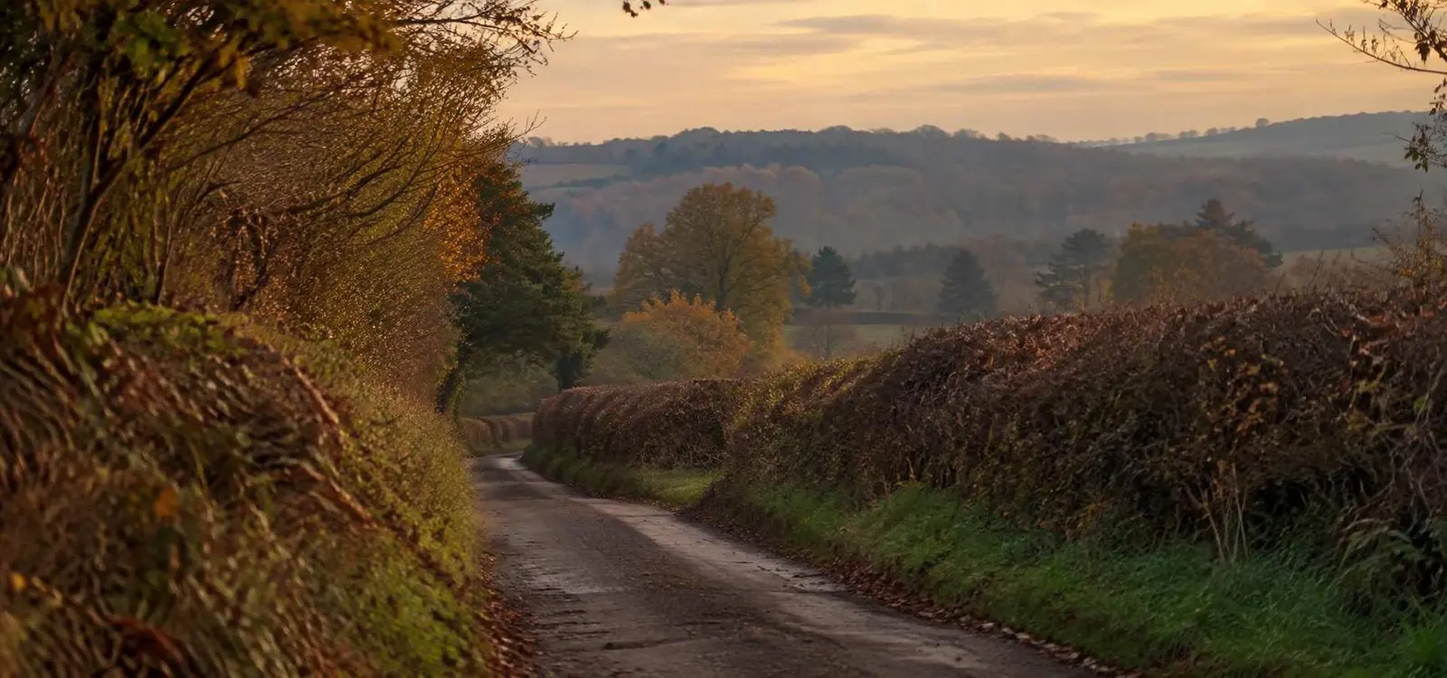 British countryside
