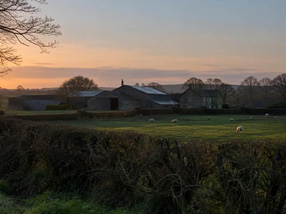 Vermin Shooting — Professional fox and rabbit control on rural estates